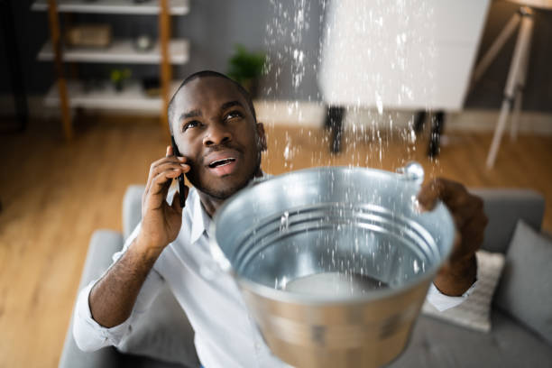 Best Sewage cleanup and water damage restoration  in Bells, TX