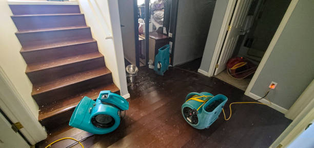 Best Water damage restoration near me  in Bells, TX