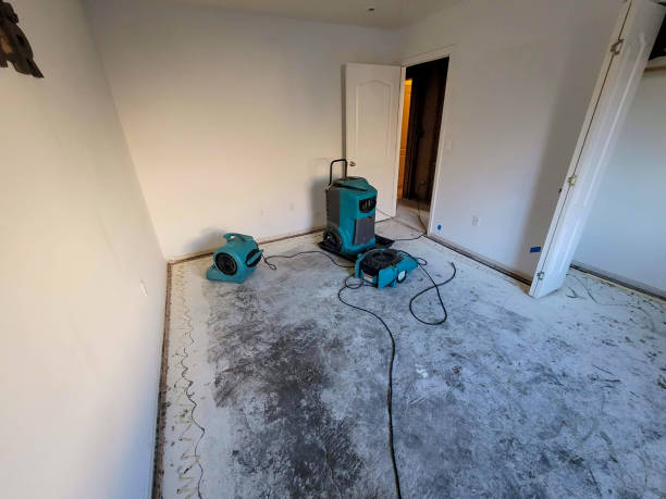 Best Water damage contractors near me  in Bells, TX