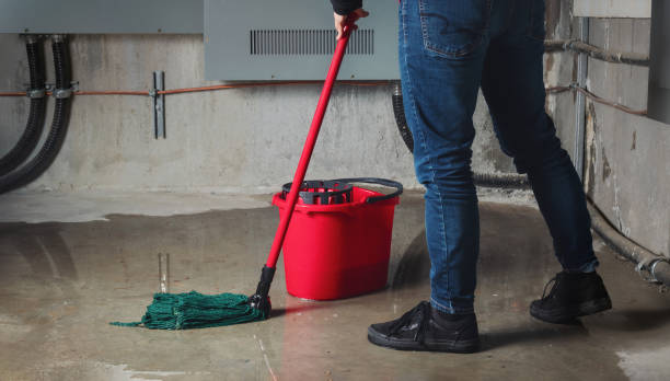 Best Commercial water damage restoration  in Bells, TX