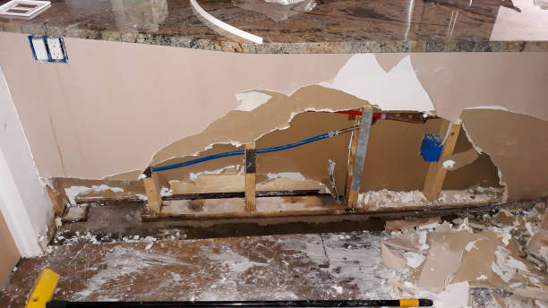 Best Local water damage restoration  in Bells, TX