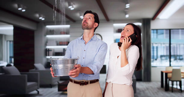 Water damage restoration mold remediation in Bells, TX