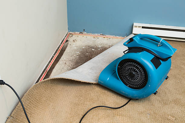 Professional Water damage restoration in Bells, TX